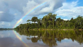 Goldgräber im Garten Eden