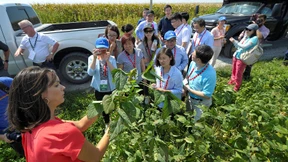 Die Rache der Sojabohne