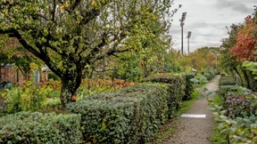 „Für uns gleicht das einer Enteignung“