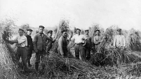 Die Bundesrats-Beschlüsse über die Höchstpreise