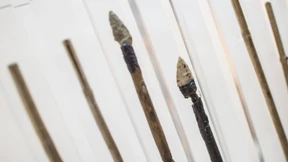 Prähistorische Bogensehne identifiziert