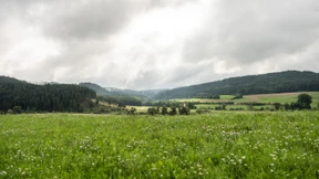 Sonnigeres Wetter zur Wochenmitte erwartet