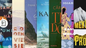 Das sind die wichtigsten Romane des Jahres 2024