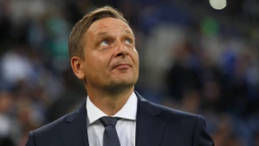 Entenjagd nach Schalker Art