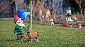 Was Schrebergärten über Gemeinschaft lehren