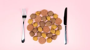 War’s das mit dem Veggie-Boom?