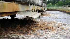Die Legionellen kommen auch aus der Kläranlage