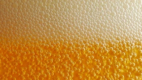 Mais und Reis sind gut fürs Bier