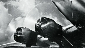 Schauen wie die Frösche, fotografieren wie die Vögel