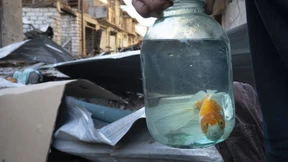 Wieder schwere Gefechte in Nagornyj Karabach