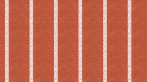 Vor Deutschland  liegt ein Marathon