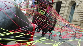 Maulkorb für Bulle und Bär