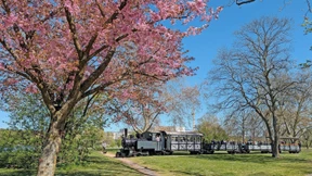 Kleine Bahn ganz groß