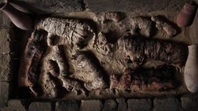 Käfer- und Katzen-Mumien