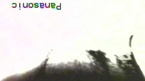 Seth Price – „Auto da Fe 2000“