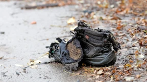 Was kostet das Kilo Kanonenfutter?