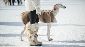 In der Diva steckt Pioniergeist