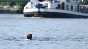 Neckar besteht zur Hälfte aus Abwasser