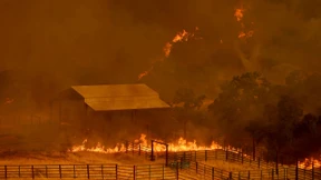 Tobende Waldbrände in Kalifornien