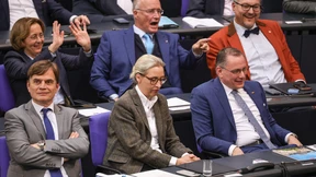 Dieses Wahlsystem würde die AfD politisch entlarven
