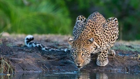 Sehen und gesehen werden