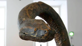 Begehbare Gedichte im Fridericianum