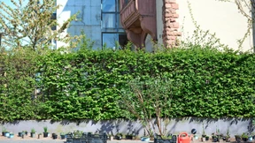 Helmut Willke fordert neues Weltsystem für globale Umweltpolitik