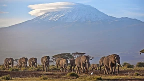 Surfen auf dem Kilimandscharo