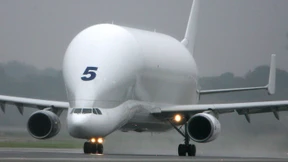 Weißer Riese mit großer Klappe