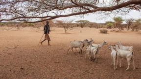 Mit der Dürre kommt die Gewalt