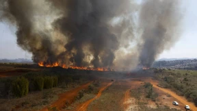 Waldbrände in vielen Regionen Brasiliens