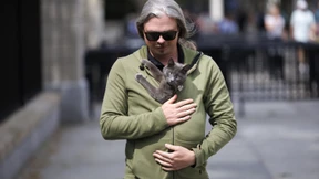 Katze sorgt für Aufsehen im Weißen Haus