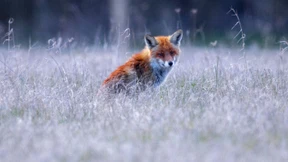 Ist Corona schlecht für die Umwelt?