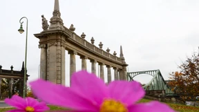 Mauerfall und Elterngeld