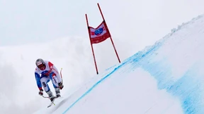 Eine „perverse Idee“