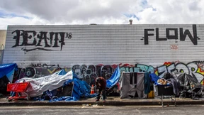 „Lassen Sie den gesunden Menschenverstand walten“