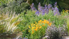 Manche mögen’s heiß