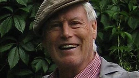 Steter Igel holt den Stein