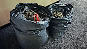 Polizei stellt Bärlauchpflücker mit 40 Kilogramm im Kofferraum