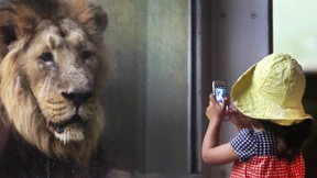 Essen Sie nur, was Sie auch selbst töten!