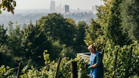 Werbung ohne Qualität hilft nichts