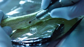 Wenn eine gefühlte Verwandtschaft die Archäologie bremst