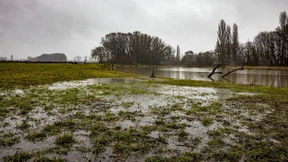 Nasse Wiesen, volle Altarme