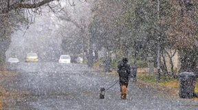 In Johannesburg rieselt leise der Schnee