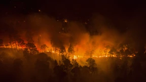 Waldbrände nehmen endlich ab