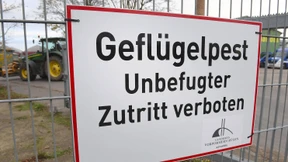 Vogelhalter muss alle Tiere töten