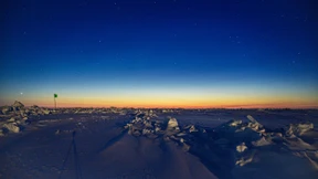 Grünes, fast ohne Licht
