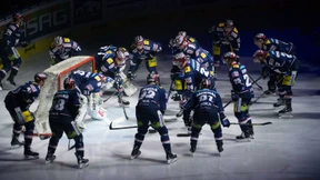 Eisbären düpieren Grizzlys