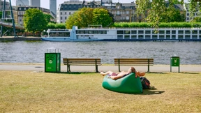 Hitze, Dürre und schon wieder Nilgänse