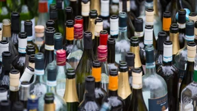 Auf den Spuren des Katers